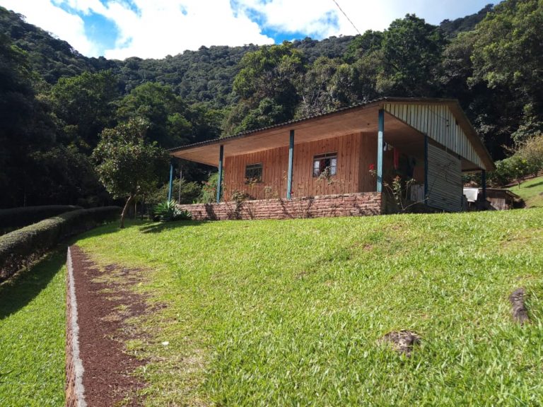 B-479     LINDO SÍTIO EM SÃO FRANCISCO DE PAULA – SERRA GAÚCHA