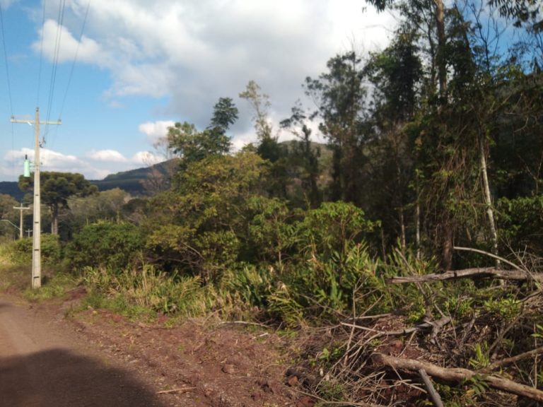 B-583     Área de terras em Morro Reuter Com 4,5 Hectares A 1,3 Km Da Vrs 873.