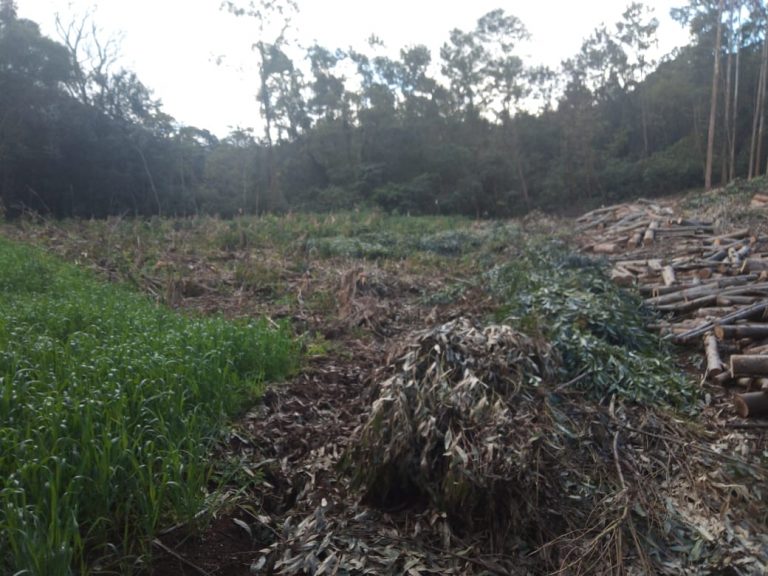 B-583     Área de terras em Morro Reuter Com 4,5 Hectares A 1,3 Km Da Vrs 873.