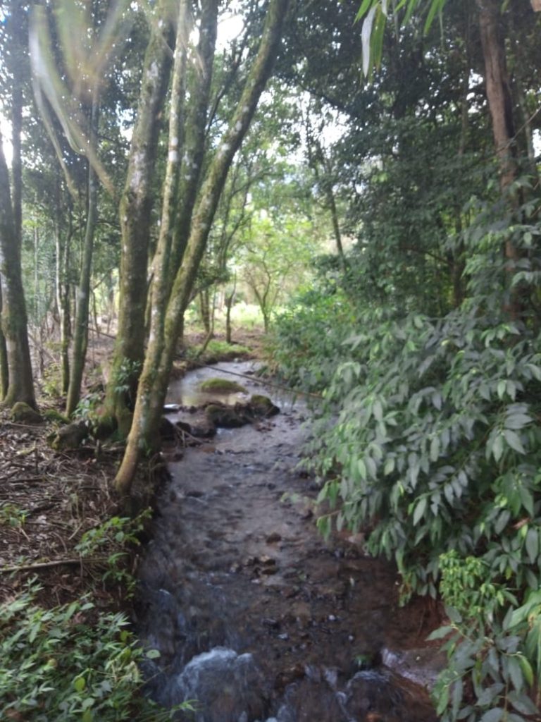 B-583     Área de terras em Morro Reuter Com 4,5 Hectares A 1,3 Km Da Vrs 873.