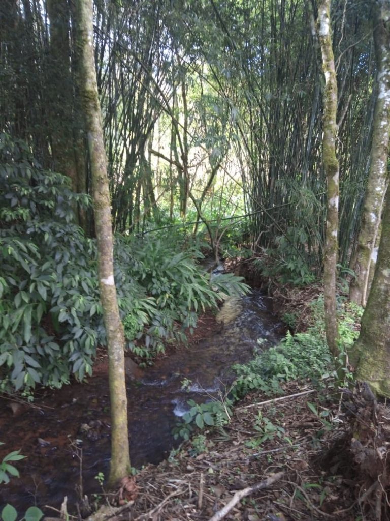 B-583     Área de terras em Morro Reuter Com 4,5 Hectares A 1,3 Km Da Vrs 873.