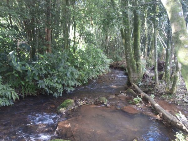 B-583     Área de terras em Morro Reuter Com 4,5 Hectares A 1,3 Km Da Vrs 873.