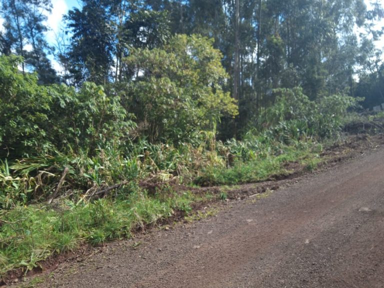 B-583     Área de terras em Morro Reuter Com 4,5 Hectares A 1,3 Km Da Vrs 873.