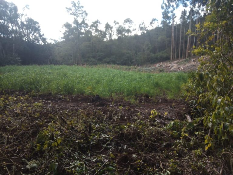 B-583     Área de terras em Morro Reuter Com 4,5 Hectares A 1,3 Km Da Vrs 873.