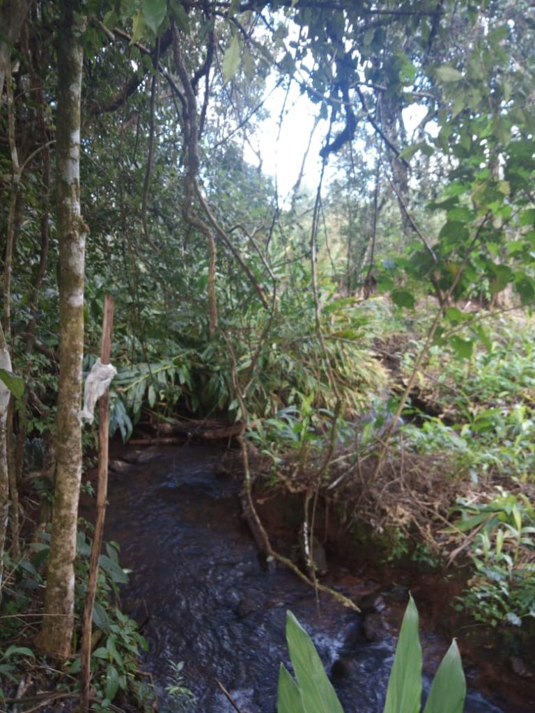 B-583     Área de terras em Morro Reuter Com 4,5 Hectares A 1,3 Km Da Vrs 873.