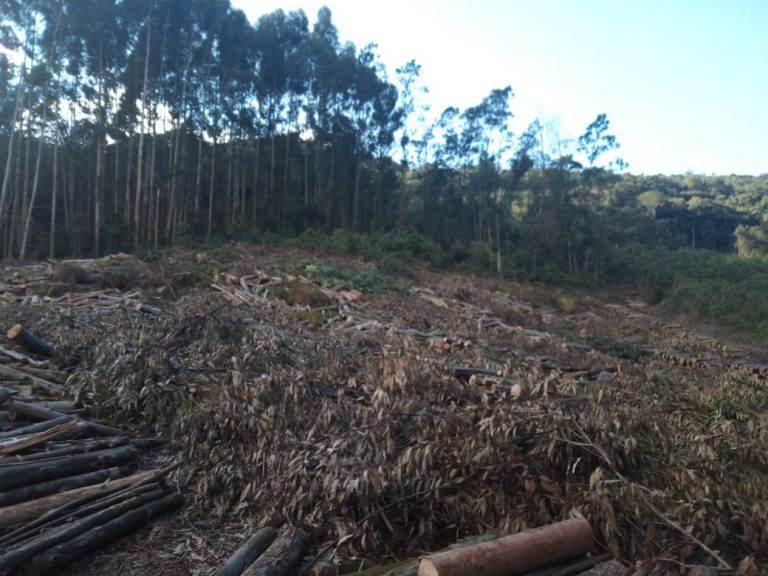 B-583     Área de terras em Morro Reuter Com 4,5 Hectares A 1,3 Km Da Vrs 873.