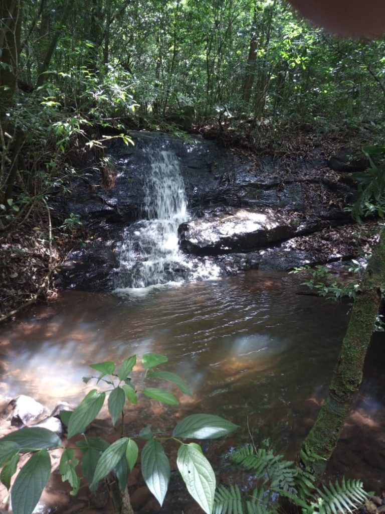 B-580  LINDA ÁREA DE TERRA EM SÃO FRANCISCO DE PAULA – SERRA GAÚCHA