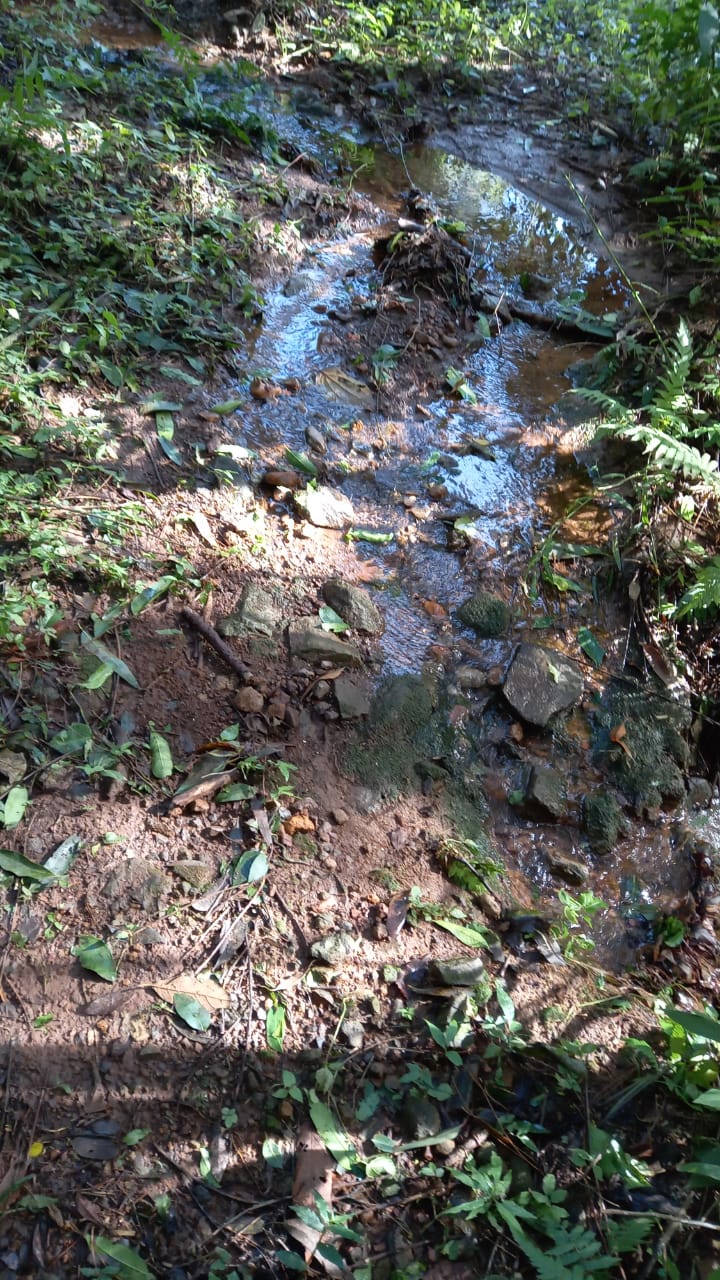 Àrea de terras em Morro Reuter Próxima A VRS 873