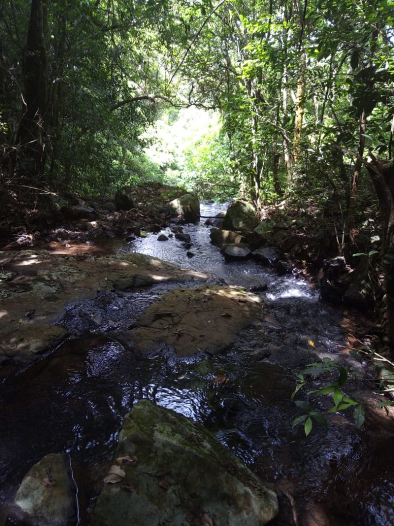 B-580  LINDA ÁREA DE TERRA EM SÃO FRANCISCO DE PAULA – SERRA GAÚCHA