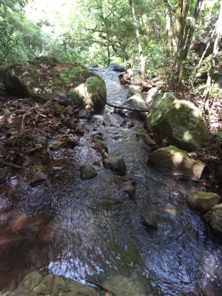 B-580  LINDA ÁREA DE TERRA EM SÃO FRANCISCO DE PAULA – SERRA GAÚCHA