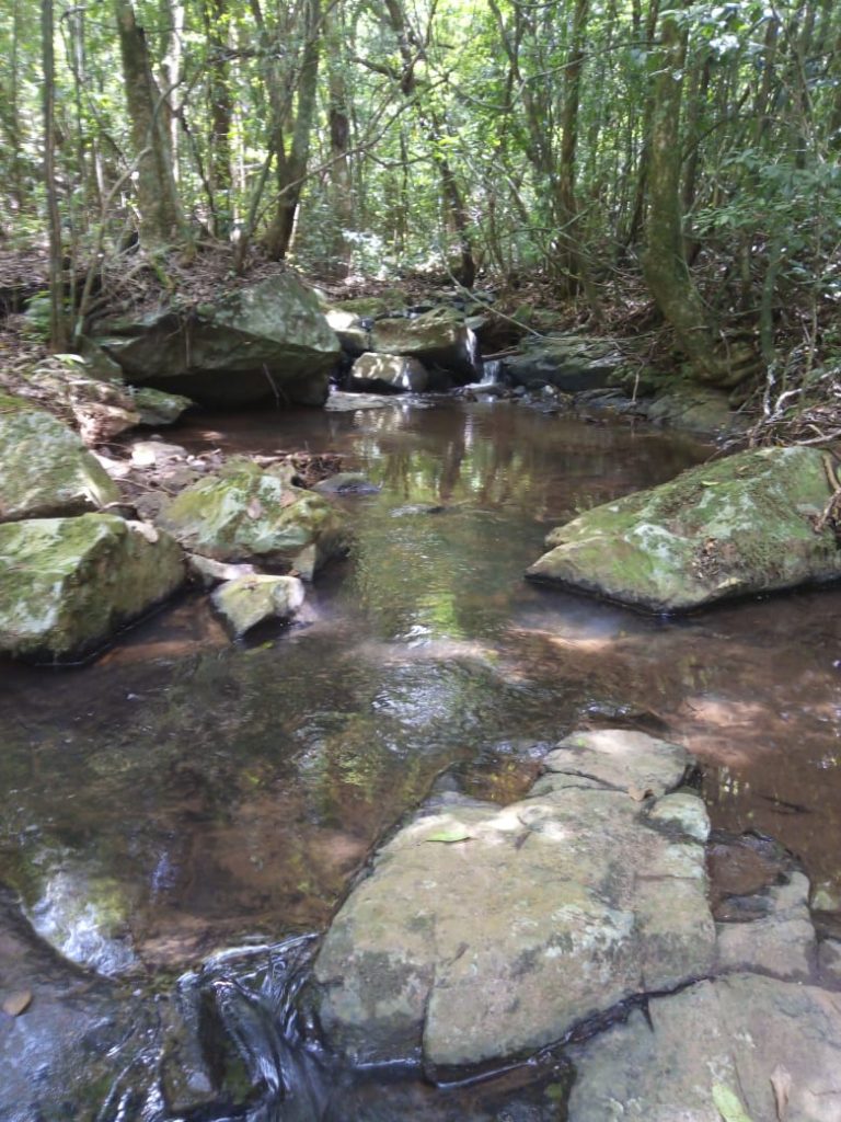 B-580  LINDA ÁREA DE TERRA EM SÃO FRANCISCO DE PAULA – SERRA GAÚCHA