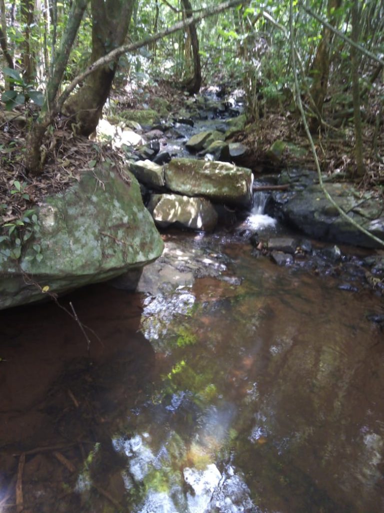 B-580  LINDA ÁREA DE TERRA EM SÃO FRANCISCO DE PAULA – SERRA GAÚCHA