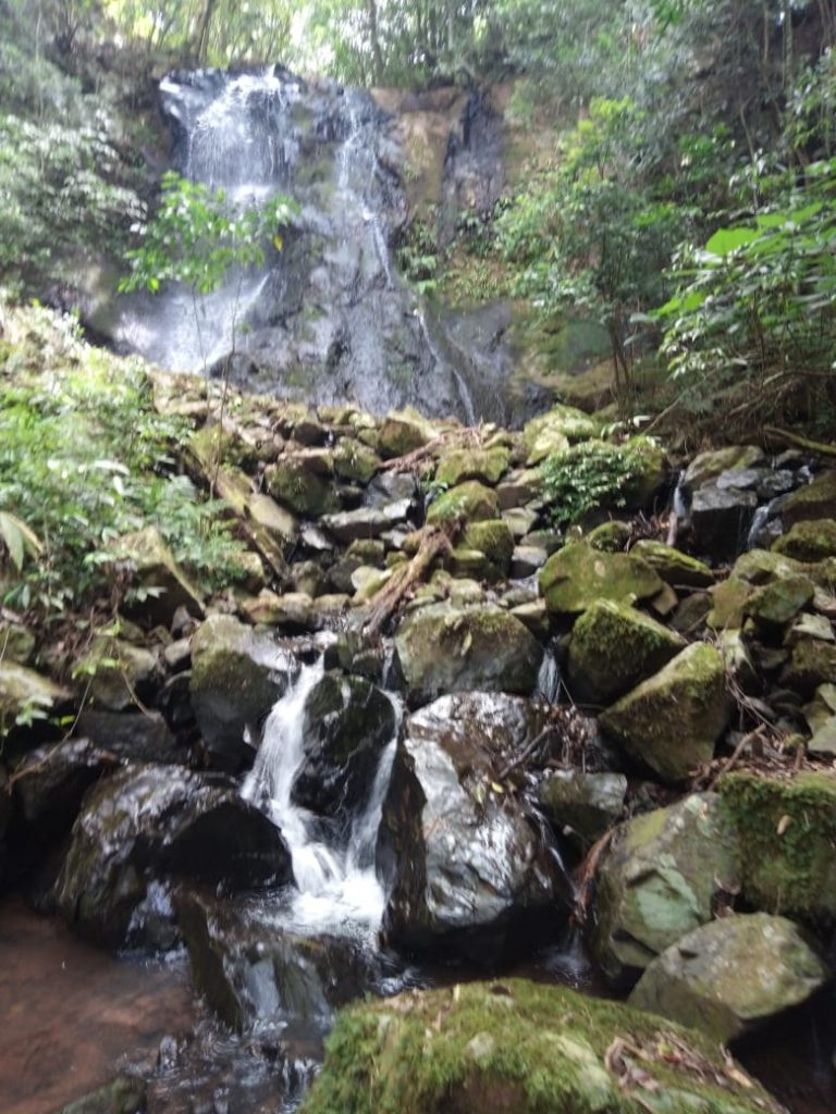 B-580  LINDA ÁREA DE TERRA EM SÃO FRANCISCO DE PAULA – SERRA GAÚCHA