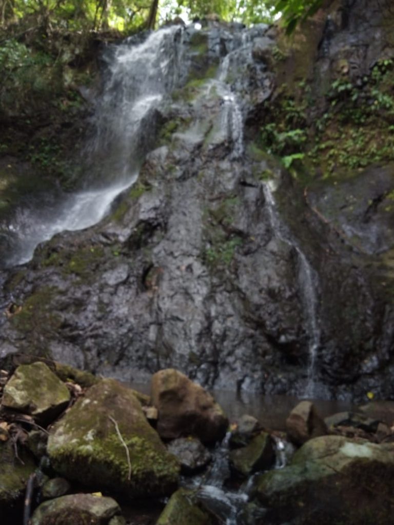B-580  LINDA ÁREA DE TERRA EM SÃO FRANCISCO DE PAULA – SERRA GAÚCHA