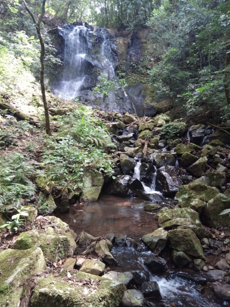 B-580  LINDA ÁREA DE TERRA EM SÃO FRANCISCO DE PAULA – SERRA GAÚCHA