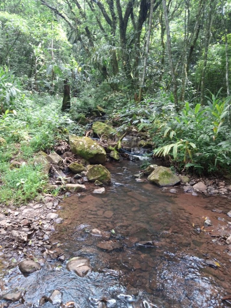 B-580  LINDA ÁREA DE TERRA EM SÃO FRANCISCO DE PAULA – SERRA GAÚCHA
