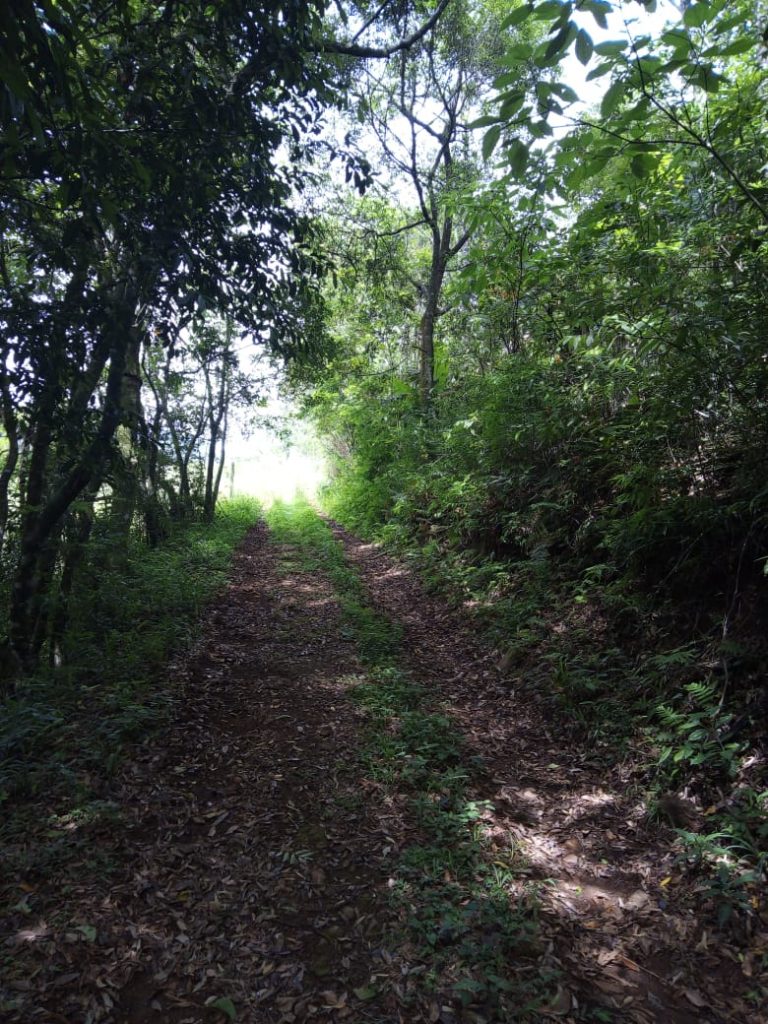 B-580  LINDA ÁREA DE TERRA EM SÃO FRANCISCO DE PAULA – SERRA GAÚCHA
