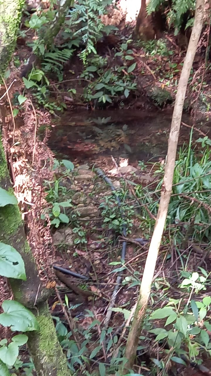 Àrea de terras em Morro Reuter Próxima A VRS 873