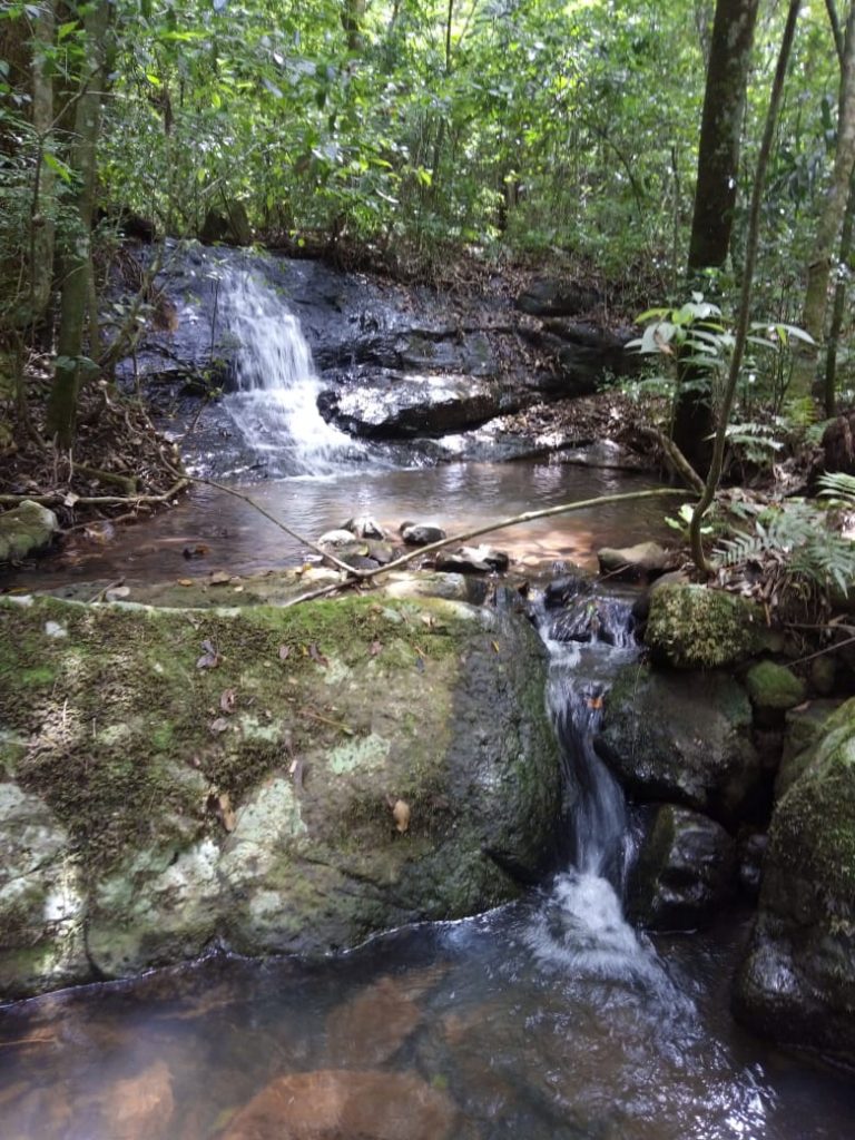 B-580  LINDA ÁREA DE TERRA EM SÃO FRANCISCO DE PAULA – SERRA GAÚCHA