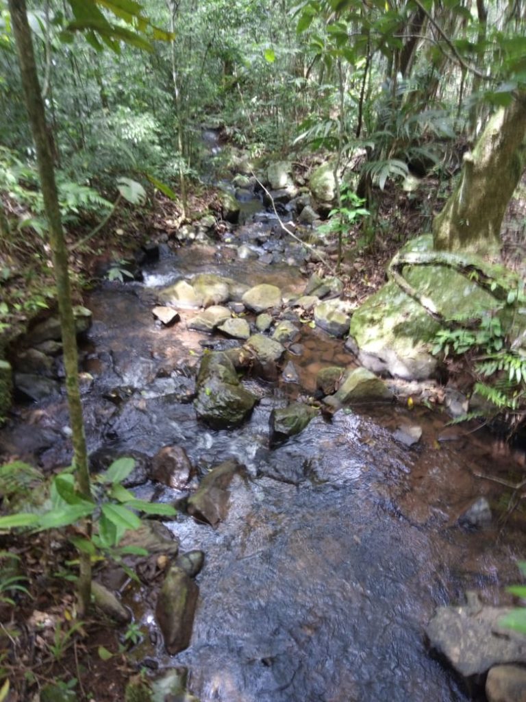 B-580  LINDA ÁREA DE TERRA EM SÃO FRANCISCO DE PAULA – SERRA GAÚCHA
