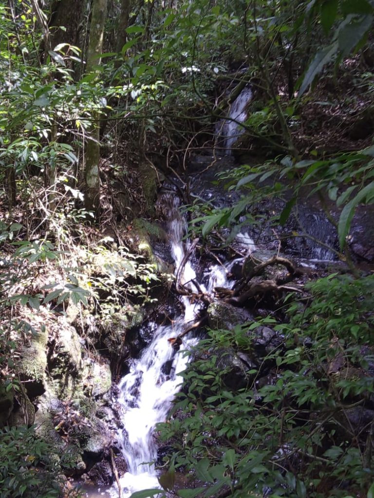B-580  LINDA ÁREA DE TERRA EM SÃO FRANCISCO DE PAULA – SERRA GAÚCHA
