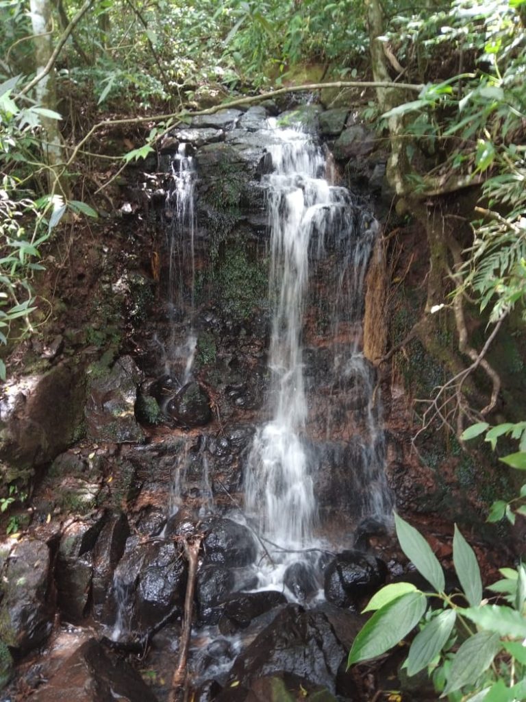 B-580  LINDA ÁREA DE TERRA EM SÃO FRANCISCO DE PAULA – SERRA GAÚCHA