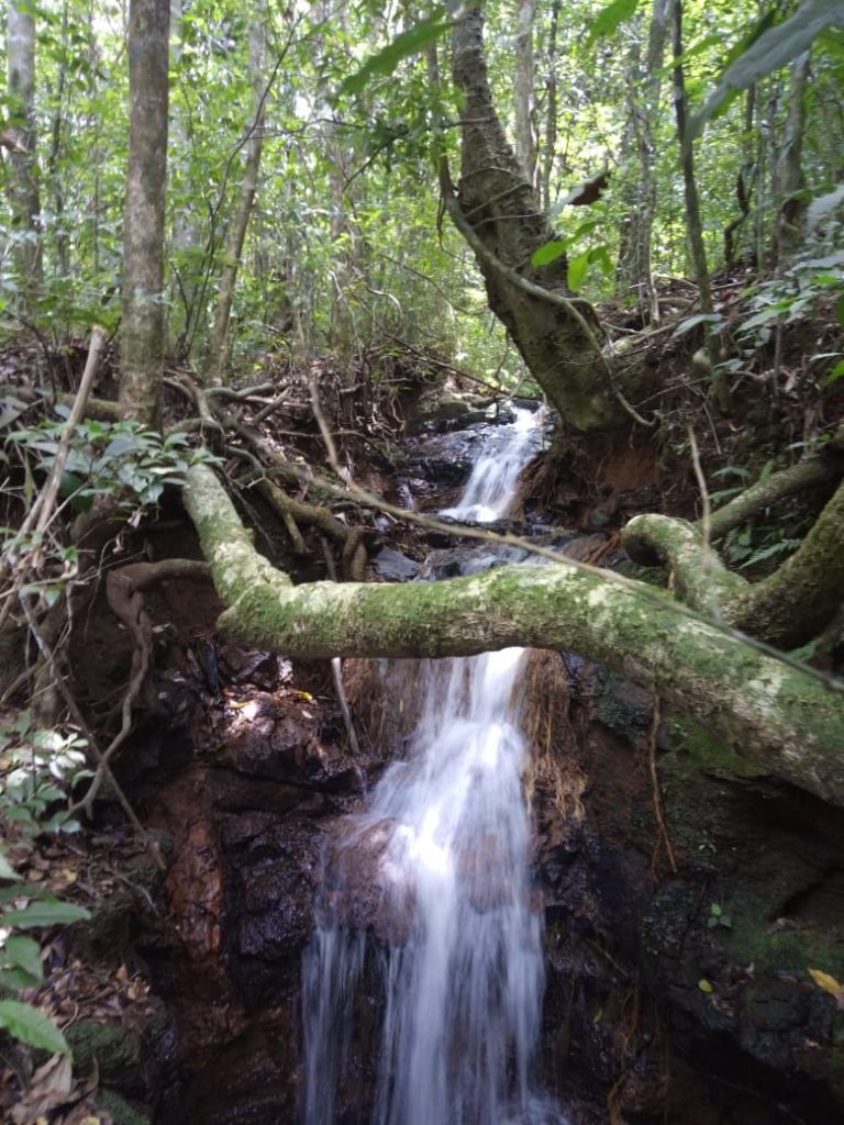 B-580  LINDA ÁREA DE TERRA EM SÃO FRANCISCO DE PAULA – SERRA GAÚCHA