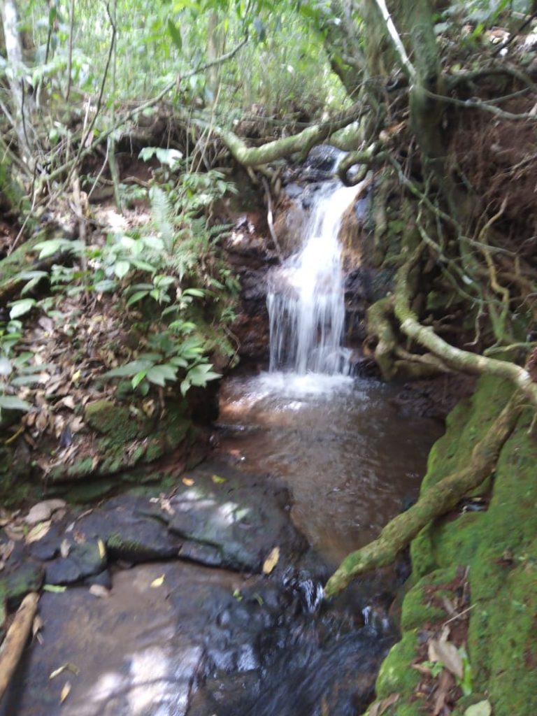 B-580  LINDA ÁREA DE TERRA EM SÃO FRANCISCO DE PAULA – SERRA GAÚCHA
