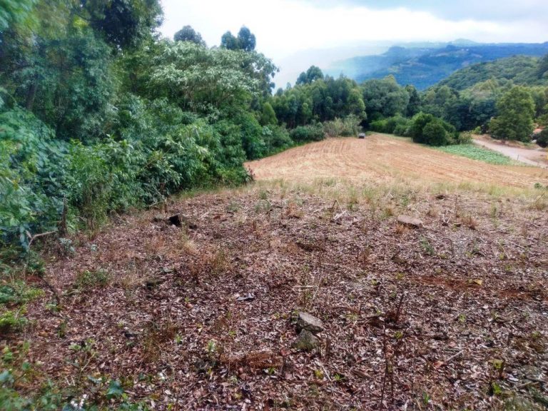 B-586     LINDA ÁREA DE TERRAS NO PINHAL ALTO-NOVA PETRÓPOLIS!!!!