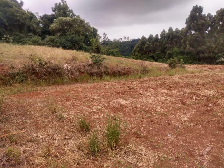 B-586     LINDA ÁREA DE TERRAS NO PINHAL ALTO-NOVA PETRÓPOLIS!!!!
