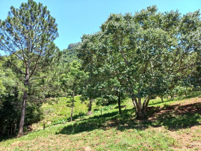 B-01     ENORME TERRENO MEDINDO 1.444,96 m² EM RUA SEM SAÍDA!!!!