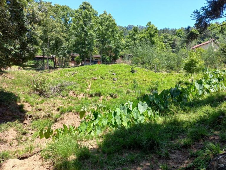 B-01     ENORME TERRENO MEDINDO 1.444,96 m² EM RUA SEM SAÍDA!!!!
