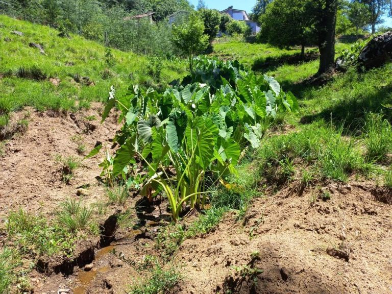 B-01     ENORME TERRENO MEDINDO 1.444,96 m² EM RUA SEM SAÍDA!!!!