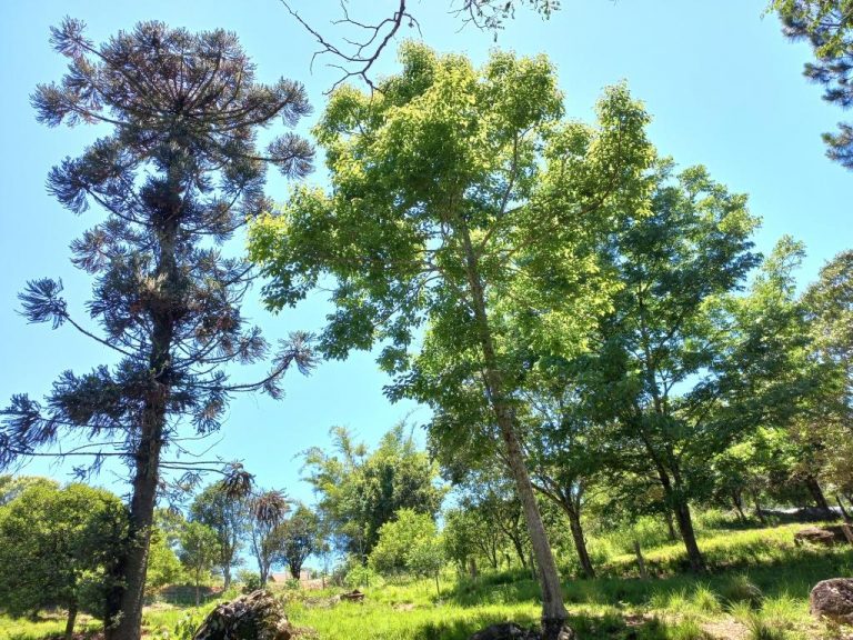 B-01     ENORME TERRENO MEDINDO 1.444,96 m² EM RUA SEM SAÍDA!!!!
