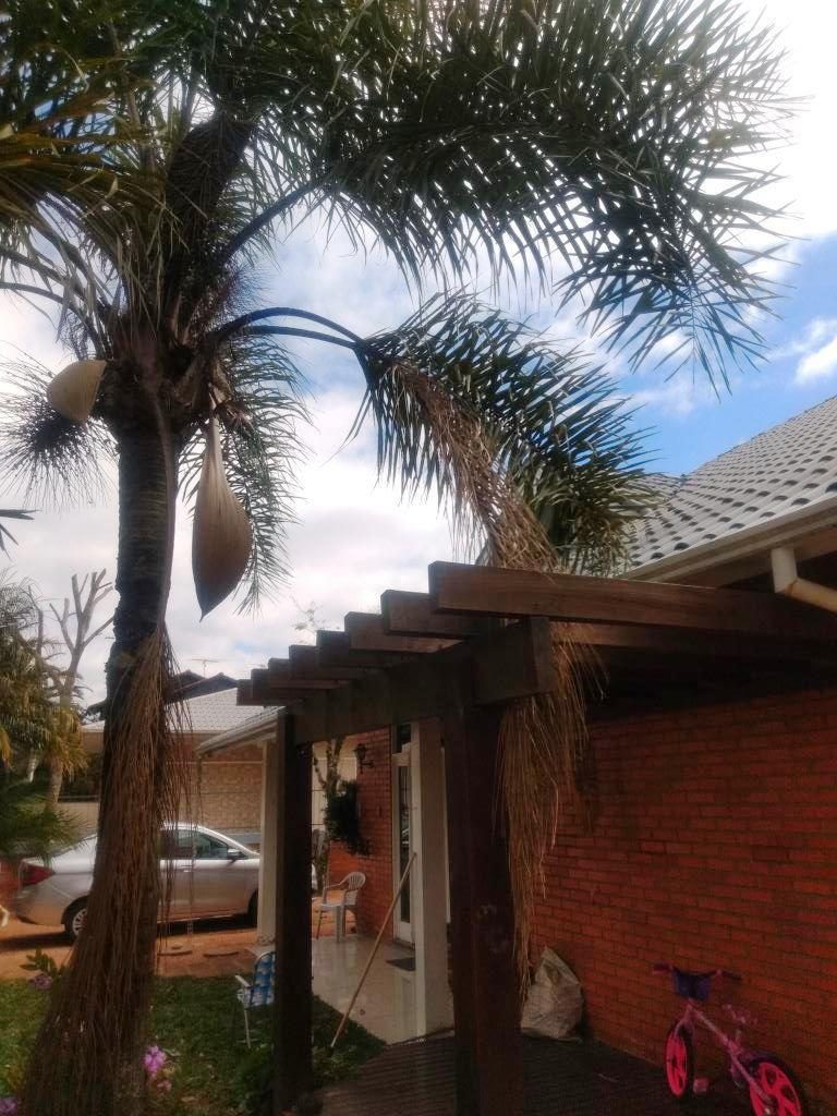B-275     LINDA E AMPLA CASA NA POUSADA DA NEVE-NOVA PETRÓP0LIS-SERRA GAÚCHA!!!