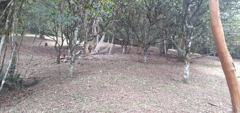 B-411     LINDÍSSIMA CHÁCARA CERCADA COM RIACHO NO CENTRO DE PICADA CAFÉ