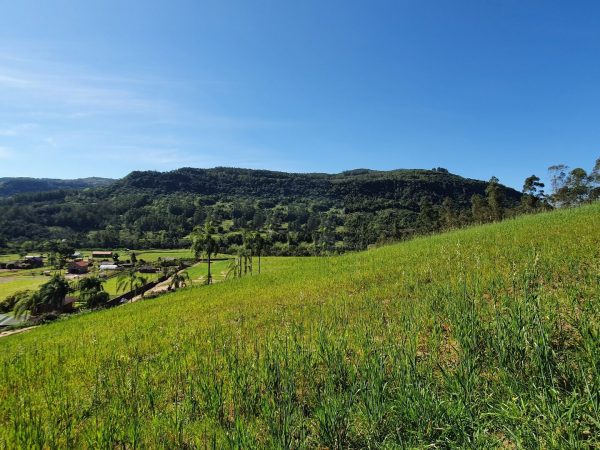 B-391     ÁREA DE TERRAS COM ÓTIMA LOCALIZAÇÃO COMERCIAL E RESIDENCIAL
