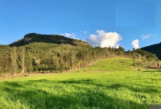 B-391     ÁREA DE TERRAS COM ÓTIMA LOCALIZAÇÃO COMERCIAL E RESIDENCIAL