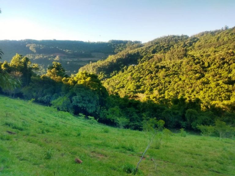 B-442     FANTÁSTICO SÍTIO/ÁREA DE TERRAS NO PINHAL ALTO-NOVA PETRÓPOLIS-SERRA GAÚCHA!!!