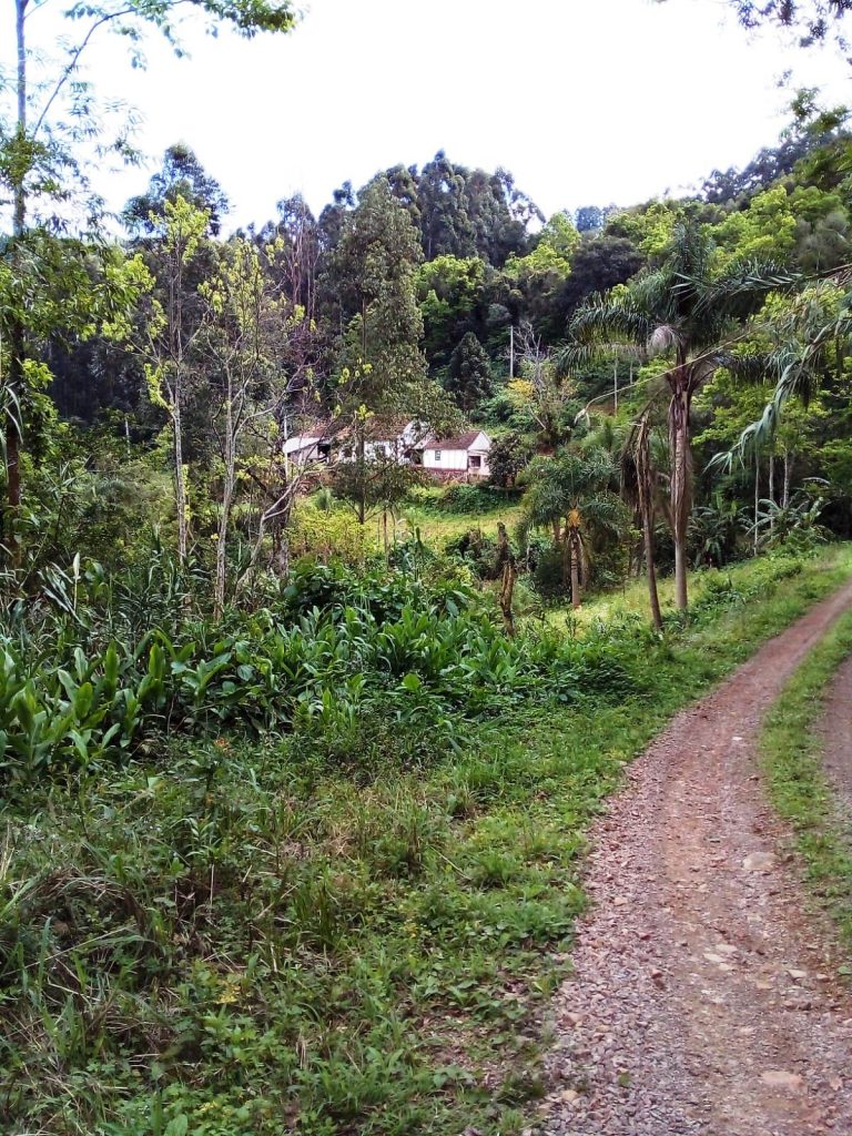 B-442     FANTÁSTICO SÍTIO/ÁREA DE TERRAS NO PINHAL ALTO-NOVA PETRÓPOLIS-SERRA GAÚCHA!!!