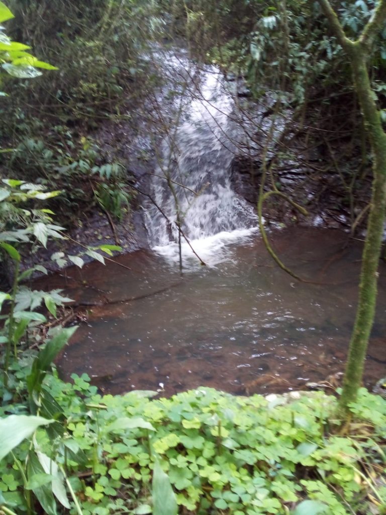 B-442     FANTÁSTICO SÍTIO/ÁREA DE TERRAS NO PINHAL ALTO-NOVA PETRÓPOLIS-SERRA GAÚCHA!!!