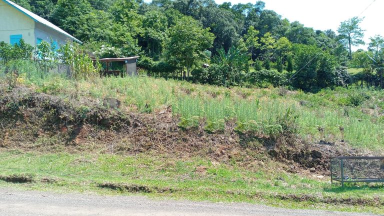 B-1131     TERRENOS POR R$ 65.000,00 E VISTA DE TIRAR O FÔLEGO