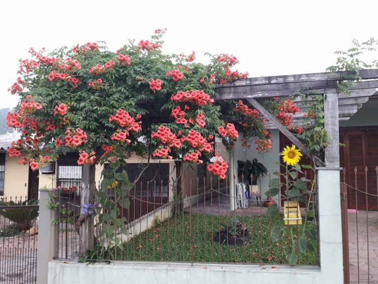 B-1321     CASA NO CENTRO DA CIDADE DE PICADA CAFÉ/RS
