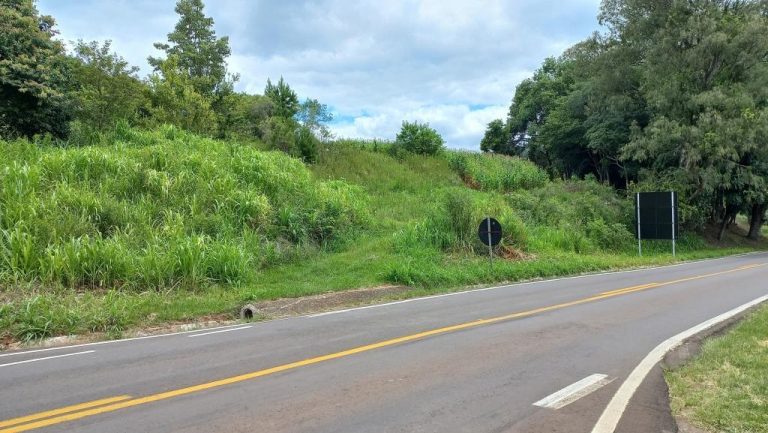 B-590     FANTÁSTICA ÁREA DE TERRAS DE 8,00 HA COM 56 METROS DE FRENTE PARA A RS 235, PRÓXIMO AO SNOWLAND!!!