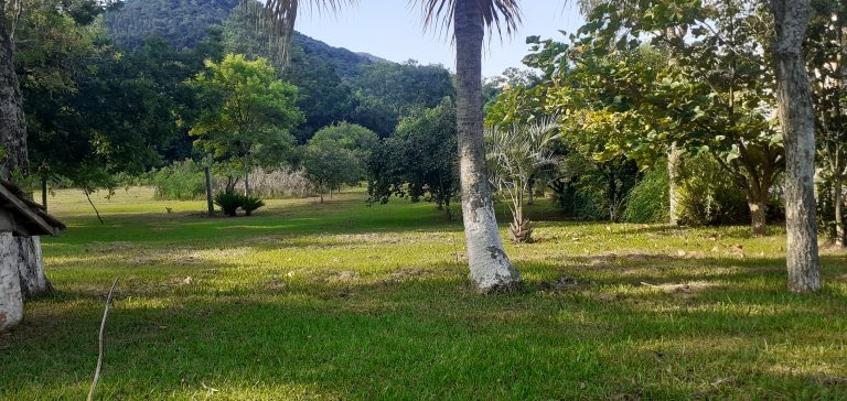 B-1219     ÁREA COMERCIAL/RESIDENCIAL AO LADO DO PARQUE EM PICADA CAFÉ