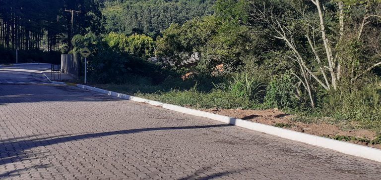 B-1133     TERRENOS COM VISTA DE TIRAR O FÔLEGO EM PICADA CAFÉ/RS