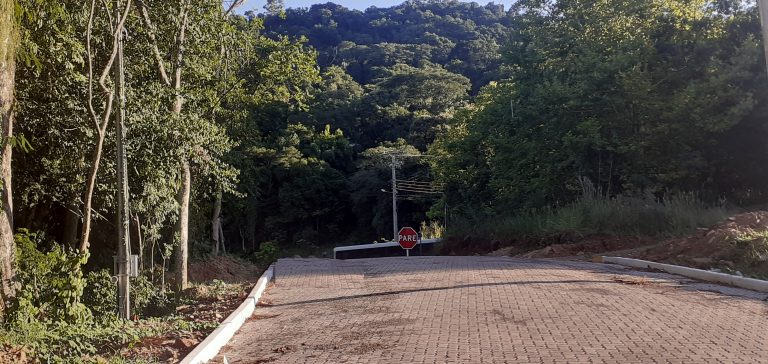 B-1133     TERRENOS COM VISTA DE TIRAR O FÔLEGO EM PICADA CAFÉ/RS