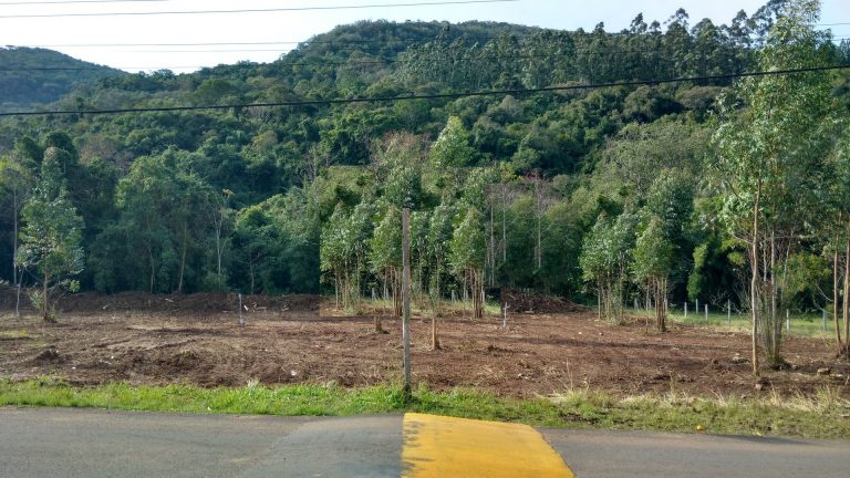 B-1113     TERRENOS POR PREÇOS IMPERDÍVEIS EM PICADA CAFÉ/RS
