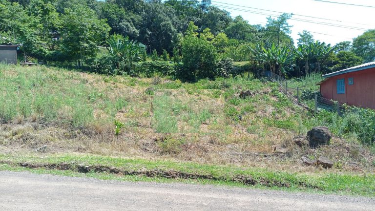 B-1131     TERRENOS POR R$ 65.000,00 E VISTA DE TIRAR O FÔLEGO