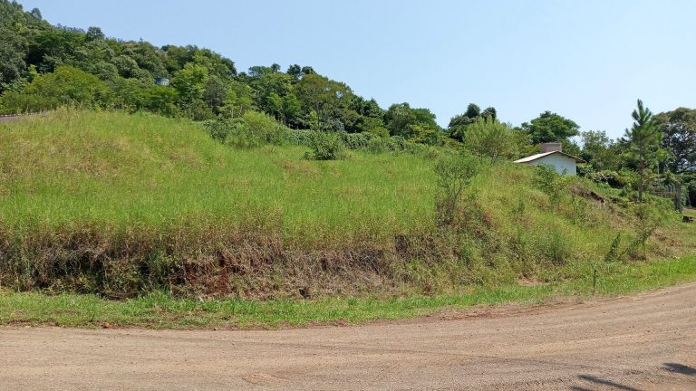 B-1131     TERRENOS POR R$ 65.000,00 E VISTA DE TIRAR O FÔLEGO